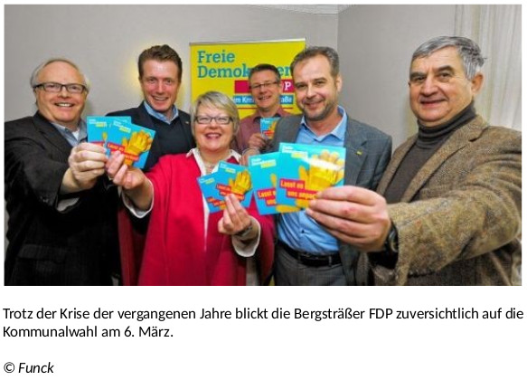 FDP Bergstraße Kreisprogramm